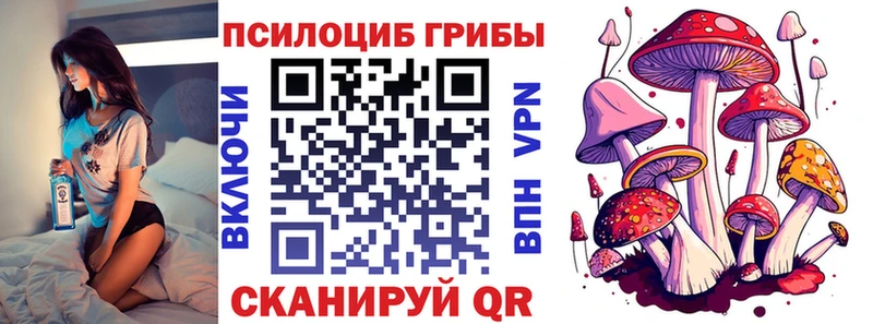Псилоцибиновые грибы ЛСД  закладка  Наволоки 