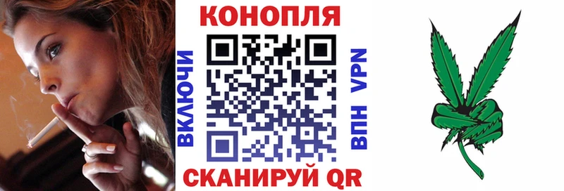 Канабис сатива  Наволоки 